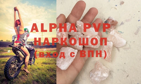 стаф Касимов