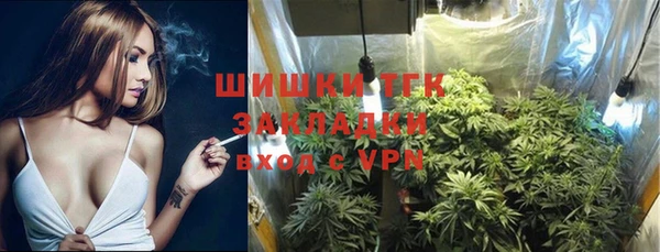 сатива Кинешма
