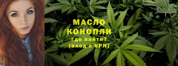 сатива Кинешма