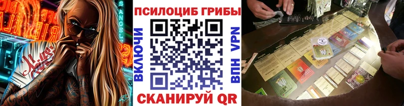 Купить  Нарткала  Галлюциногенные грибы мухоморы 
