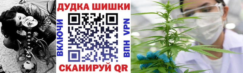 Купить закладки  Нарткала  Бошки Шишки OG Kush 